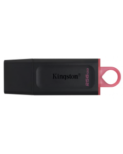 Kingston USB Exodia 256GB | USB-A