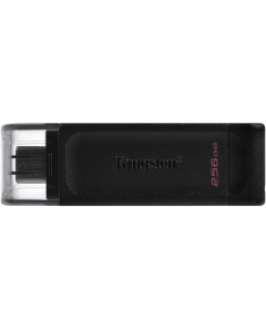 Kingston USB DataTraveler 256GB | USB-C