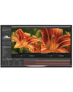 Philips Brilliance BDM3275UP 32 inch | 4K 3840 x 2160 | HDMI, Displaypoort, DVI, VGA | 60hz | 12ms | Zonder Voet