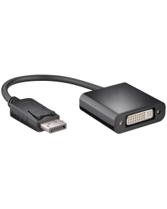 Displaypoort naar DVI Adapter